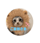 蘭丸まる 6（個別スタンプ：5）