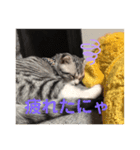 蘭丸まる 6（個別スタンプ：8）