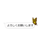 Butterfly on the message（個別スタンプ：24）