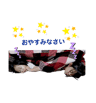 (*^ひ^)／＼(^か^*)（個別スタンプ：5）