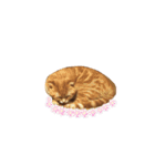 ハル の 日常（個別スタンプ：13）
