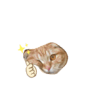 ハル の 日常（個別スタンプ：19）