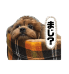 テテくんのスタンプ（個別スタンプ：8）