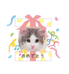 ノルジャン（個別スタンプ：3）