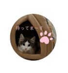 ノルジャン（個別スタンプ：4）