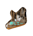 ノルジャン（個別スタンプ：8）