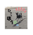 JACK STANP 2（個別スタンプ：5）