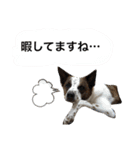 JACK STANP 2（個別スタンプ：7）