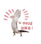 レオパのほむらさん。（個別スタンプ：7）