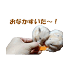 ハムスターのきゅうとぴぴ（個別スタンプ：10）