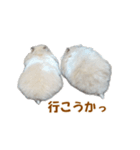ハムスターのきゅうとぴぴ（個別スタンプ：17）