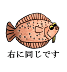 おふざけフリップ【海のなかまたち】（個別スタンプ：4）