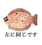 おふざけフリップ【海のなかまたち】（個別スタンプ：8）