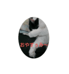 スゥ（個別スタンプ：1）