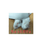 スゥ（個別スタンプ：5）
