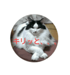 スゥ（個別スタンプ：6）