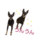ベンガル＆トイマン（個別スタンプ：14）