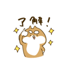 てきとうなしばいぬ（個別スタンプ：2）