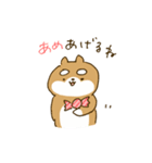 てきとうなしばいぬ（個別スタンプ：36）