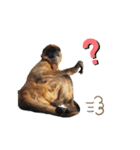 動物の想い（個別スタンプ：2）