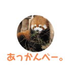 動物の想い（個別スタンプ：3）