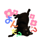 くま家のにゃんこズ2（個別スタンプ：1）