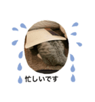 たらふく（個別スタンプ：1）
