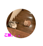 たらふく（個別スタンプ：3）