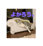 たらふく（個別スタンプ：6）