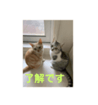 たらふく（個別スタンプ：7）