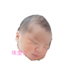 珠里ちゃん誕生！（個別スタンプ：1）