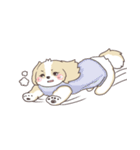 ゆるふわシーズー 02（個別スタンプ：8）