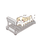 ゆるふわシーズー 02（個別スタンプ：11）