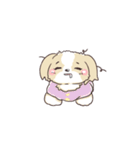 ゆるふわシーズー 02（個別スタンプ：13）