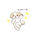 ゆるふわシーズー 02（個別スタンプ：15）