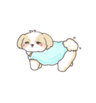 ゆるふわシーズー 02（個別スタンプ：18）