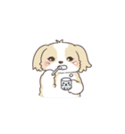 ゆるふわシーズー 02（個別スタンプ：19）