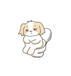 ゆるふわシーズー 02（個別スタンプ：25）