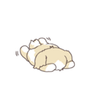 ゆるふわシーズー 02（個別スタンプ：31）