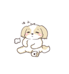 ゆるふわシーズー 02（個別スタンプ：34）