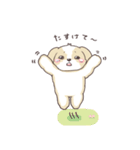 ゆるふわシーズー 02（個別スタンプ：38）