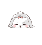 ゆるふわシーズー 02（個別スタンプ：39）