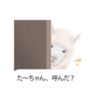 【た～ちゃん用】アルパカあだ名前スタンプ（個別スタンプ：8）