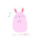 受験生うさぎ（個別スタンプ：4）