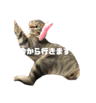 とら子ちゃま（個別スタンプ：4）