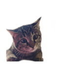 とら子ちゃま（個別スタンプ：5）