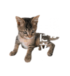 とら子ちゃま（個別スタンプ：6）