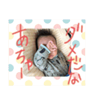 りとくん挨拶（個別スタンプ：8）