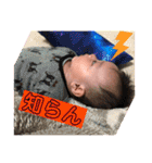 りとくん挨拶（個別スタンプ：24）