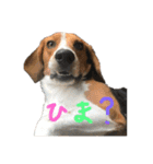 ギルちゃんとお友達（個別スタンプ：3）